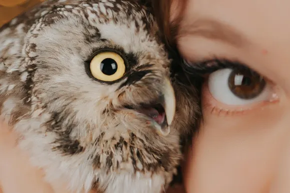 Casino AllStar Slots Supporto